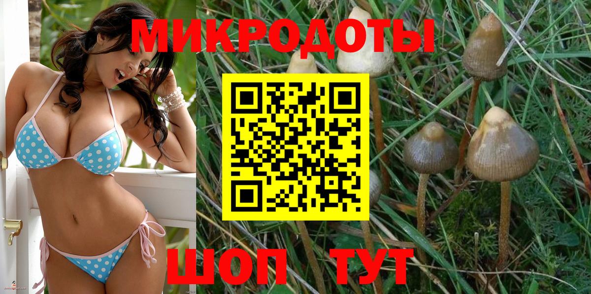 Псилоцибиновые грибы Psilocybe  Галлюциногенные грибы Cubensis  Нижневартовск  Вход с VPN 