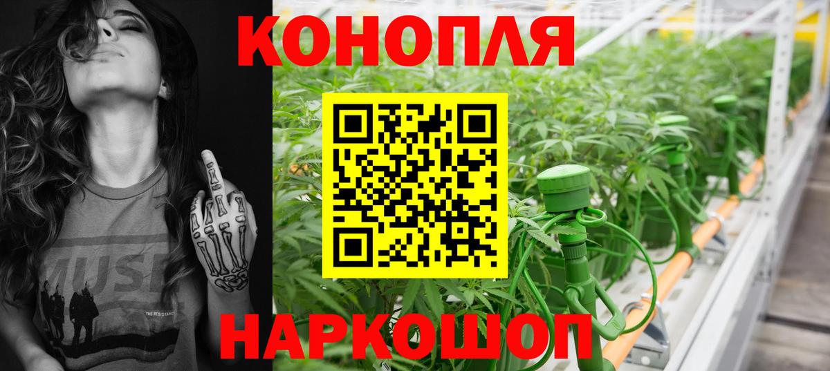 Бошки марихуана OG Kush  Марихуана марихуана  Каннабис марихуана  Нижневартовск  Вход с VPN 